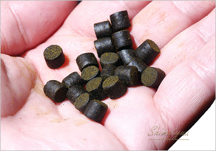 �ڥ�ޥȥ���ѥ����б��ۡڥ��ꥸ�ʥ뾦�ʡۡ�Pleco Pro Ember Rich  �ȥץ쥳 �ץ� ����С���å��ɡ����Ȥ������������ڥ�åȡ�330��