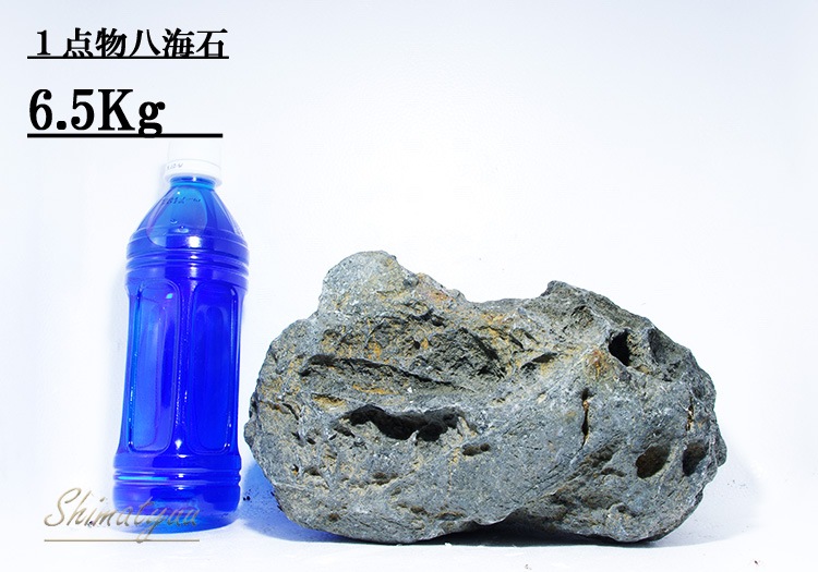 限定販売!! 一点物 八海石 6.5kg No.05 | 素材・流木・石,石 | AQUA