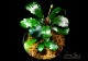 ����ʪ��Bucephalandra sp. Super Blue Red�����  2020.7��No.49