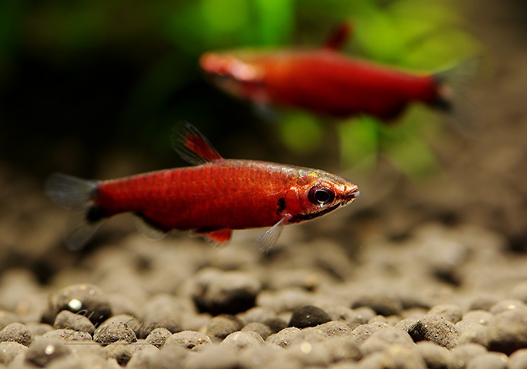 Ǯӵۡॾåɥڥ󥷥롡WILDͺ3ɤ