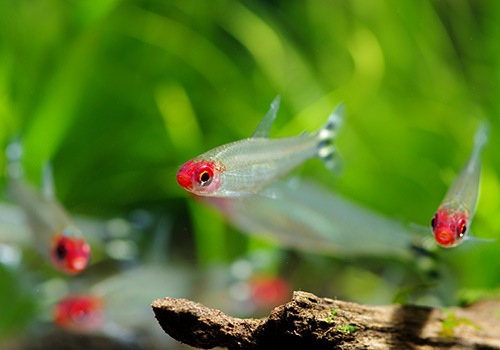 ��Ǯ�ӵ��ۡ����������ơ����ߡ��Ρ����ƥȥ顡WILD��10ɤ