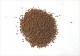 ڥޥȥѥбʡۡڥꥸʥ뾦ʡۡViejita Food ȥӥաɡɡγס50