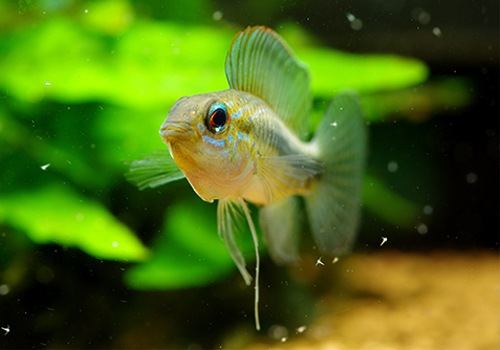 ���𡡥��˥�������ףɣ̣ġ������У�