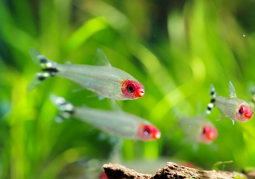 ��Ǯ�ӵ��ۡ����������ơ����ߡ��Ρ����ƥȥ顡WILD��10ɤ