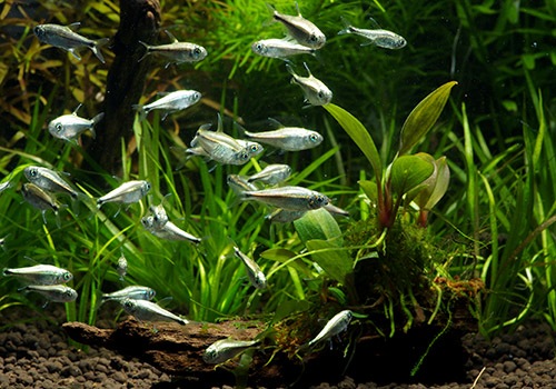 ��Ǯ�ӵ��ۡ�������ǥ�ƥȥ顡WILD��10ɤ