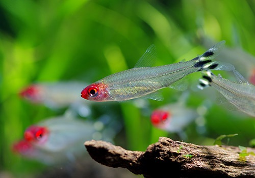 ��Ǯ�ӵ��ۡ����������ơ����ߡ��Ρ����ƥȥ顡WILD��10ɤ