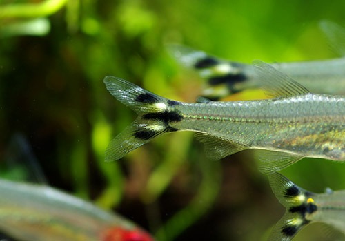 ��Ǯ�ӵ��ۡ����������ơ����ߡ��Ρ����ƥȥ顡WILD��10ɤ