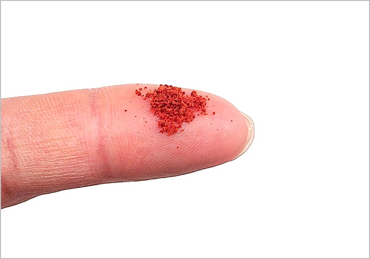 �ڥ��ꥸ�ʥ뾦�ʡۡ�Rubra Food �ȥ�֥�ա��ɡɡ����饷���Ȥ��ѡ���γ�����ס�50��