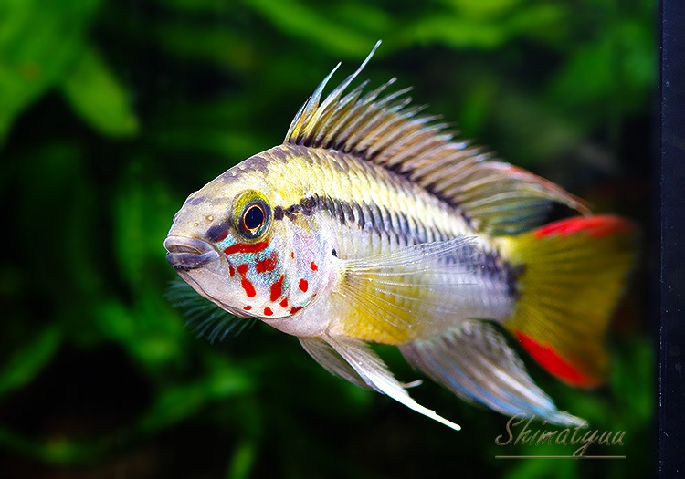 5_000000011878.jpg?1705055251