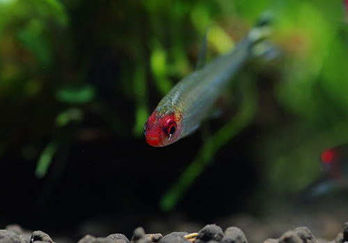 ��Ǯ�ӵ��ۡ����������ơ����ߡ��Ρ����ƥȥ顡WILD��10ɤ