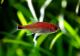 ��Ǯ�ӵ��ۡ��ǥ����ץ�åɥۥ���ƥȥ顡WILD��5ɤ