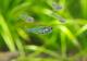 ��Ǯ�ӵ��ۡ����ꥹ����쥤��ܡ����ƥȥ顡WILD��3ɤ
