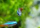 ��Ǯ�ӵ��ۡ��ͥ���ƥȥ顡WILD���ȥڥ롼�ɡ�5ɤ