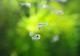 ��Ǯ�ӵ��ۡ����ꥹ����쥤��ܡ����ƥȥ顡WILD��3ɤ