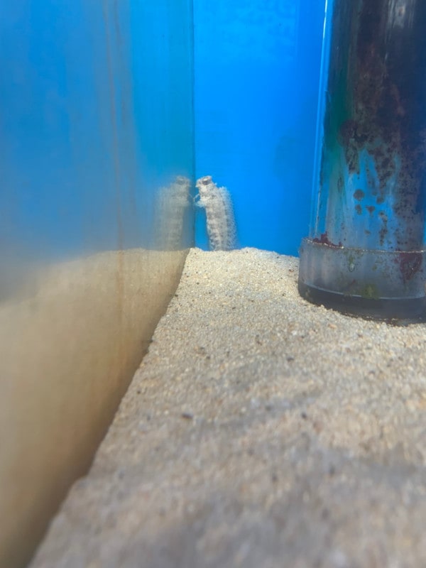 ���컺���䥨��ޥ���ݲ��졡��4-7�ѡ���