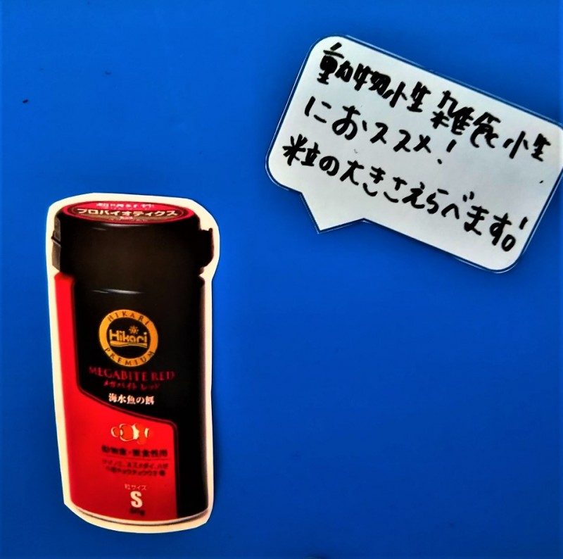 �ᥬ�Х��ȡ�������åɡ���S��