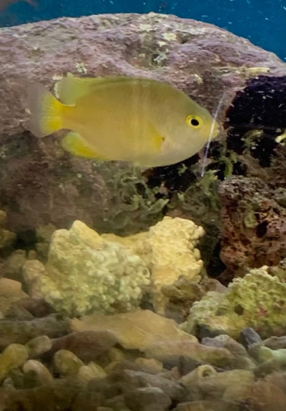 �ͥå������������������3-5�ѡ���pacificocean