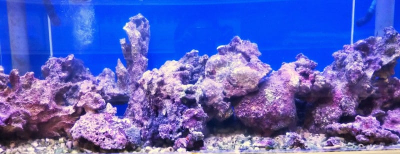 ������S���졼�ɡ��饤�֥��å�����������1���������ǡ���(��)��2��3��