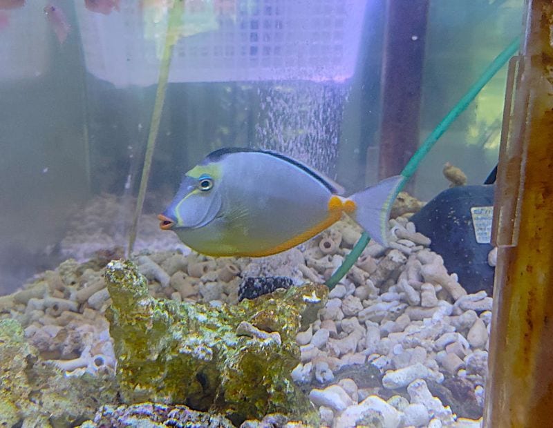 гߥ䥳ƥ󥰥ϥ14-16塡