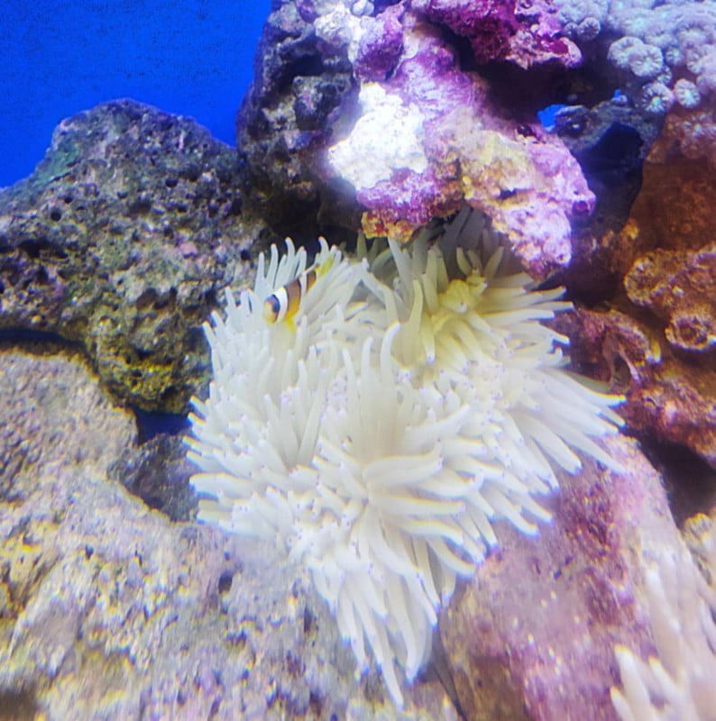 ���컺�����ޥΥߡ���3-5��