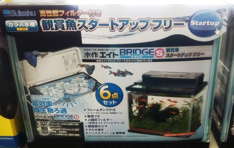 ȥåץե꡼31.518.524ѡ12åȥ