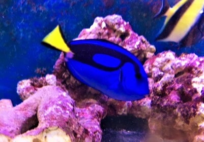 г硡ʥ襦ϥ졡6-9ѡɤå