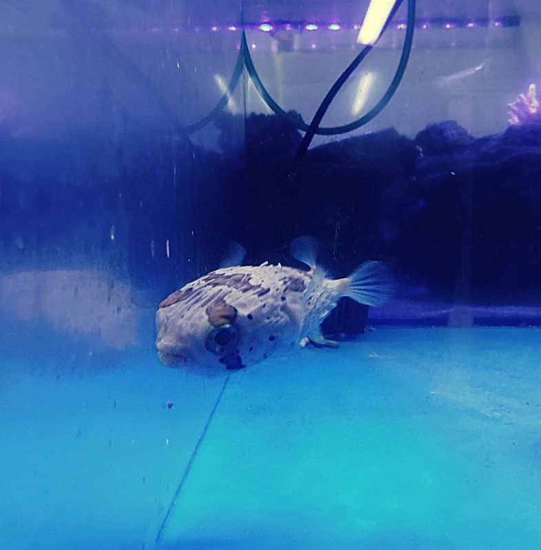 �ϥꥻ��ܥ�9-12�����塡�����컺