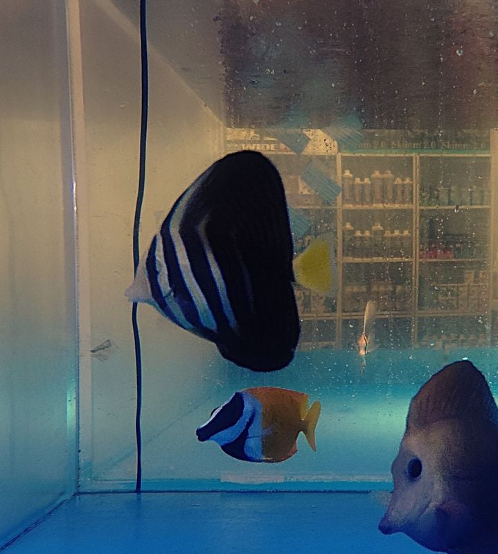 �ҥ�ʥ��ϥ�����6-9�����塡�����컺��