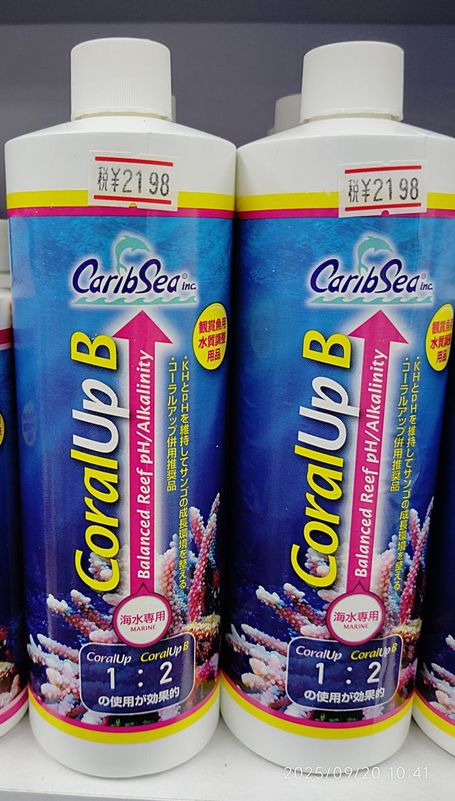 ������륢�åס�B����480ML���ʥ��ߥϥ���