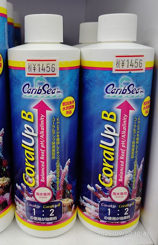 ������륢�åס�B����240ML���ʥ��ߥϥ���