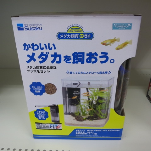 ����������飶�����å�