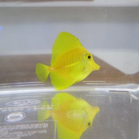 컺ϥ졡5-7+-ᤤ󾡤߸