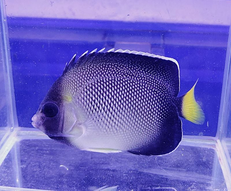 �������ƥ��å�����6-9�����塡�����컺