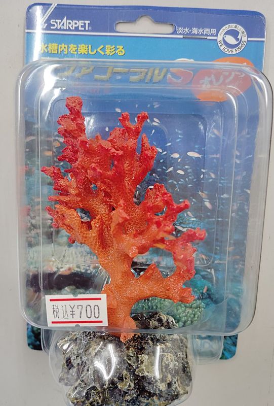 ������������롡����󥸡���S��