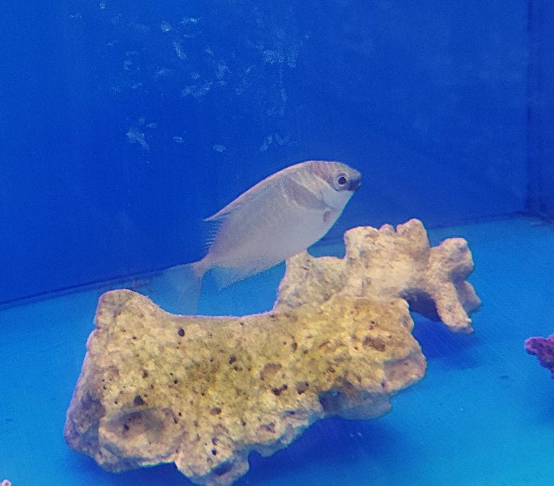 �ҥᥢ��������6-8�����塡�����컺