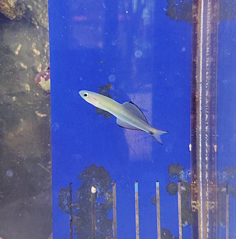 �������ϥ�����4-7�����塡��pacificocean