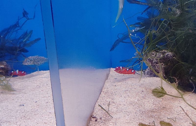 �ĥ�٥顡�ġ�4-7�����塡���컺
