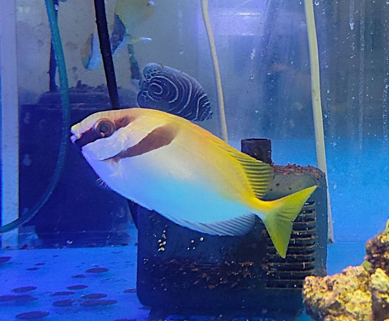 �ҥᥢ��������10-15�����塡�г���