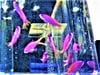 �ܸ��绺���ѡ��ץ륯�������졡����ɤ���åȡ������ò��������������Բ�