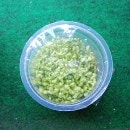 �ȿ����ܣãգС������å����ƥ����ޣ�𡥥ۥ磻�ȡ�1�ġ�(����)