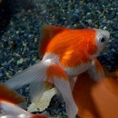 ����ΰ�⡡ʿ�컺��3ɤ(����������)