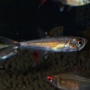 ʥƥȥ顡ȥ֥롼1ɤ(Ǯӵ)