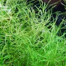 �ݥ����ƥ�󡦥���󡡣���