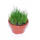 񻺥硼ȥإ饹ǾƤȭʿ