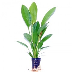 �š�������  ���Уϣ�(����)