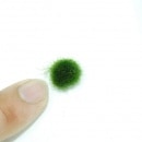 �ޥ�⡡��  ����(����)