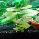 󥿥󡡥ɥե˥եʿ