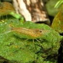 ��ޥȥ̥ޥ���  ���10ɤ��8ɤ��2ɤ�����ӥ���(Ǯ�ӵ�)