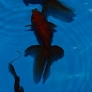 ��⡡3ɤ(������������