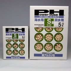 ���ꥪ�󡡥ѥ�ϥ����ϡ��ɣӡ�����åȥ�